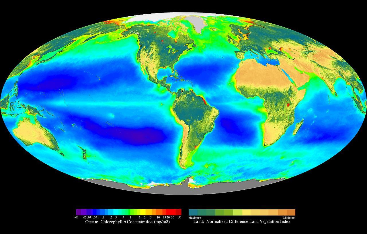 Seawifs_global_biosphere